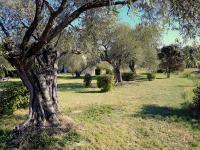 location Phoebé dans la propriété Elaia - Ferienwohnung Tourouzelle