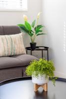 Stroll to the Stadium, 2-Bed with Private Carpark - B&B Christchurch