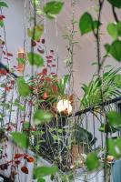 Nbta House - B&B Tangeri