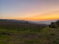 Fienile - B&B Pontassieve