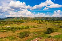 Bihogo Farmland B&B - B&B Mbarara