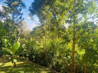 Chogoria cabin - B&B Mwangareme