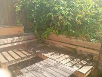 Historický apartmán se zahradou v centru Brna - B&B Brno