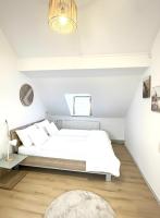 MUEL Apartment DG am Dreiländereck DE,CH,FR - B&B Bad Säckingen