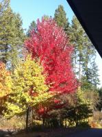 Camera con 2 Letti Queen-Size