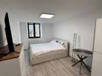 Arius apartament 5 - B&B Satu Mare