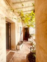 L'écrin de sauge - Centre Nîmes - B&B Nîmes