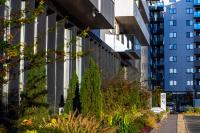 Cozy Luxury 1BR Cortina - Parking and Self Check-in - B&B Voluntari