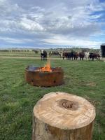 Luxury Farm Retreat Yarrimbah Shear Shed Farmstay CREEK WILDLIFE FIRE STARS - B&B Glencoe