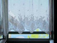 Holiday house Jakov - B&B Gdinj