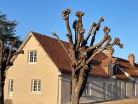 Le clos du cèdre - B&B Cellettes