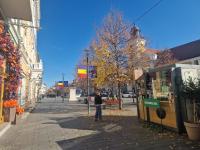 Eroilor Downtown Studio - Ferienwohnung Klausenburg