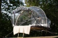 Tiny bubble Tree Tent in private woodland - B&B Kent
