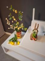 Studio apartman Laura - B&B Vinkovci