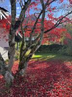 Chiemgau One - B&B Marquartstein