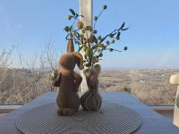 Vila POGLED - B&B Aranđelovac