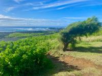 Beachfront 1 Bedroom Condo with Private Beach, Pool, Hot Tub - B&B Pāhala