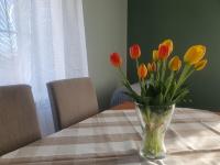 Great apartment 56 m2, Gdynia close the boulevard - B&B Gdynia