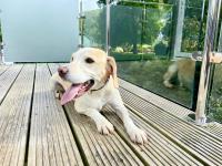 Millbrook - B&B Ilfracombe