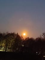 PAMJA Guest House - Bed and Breakfast Bărăști