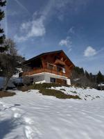 Cosy chalet, close to ski lift, beautiful views - Ferienwohnung Leysin