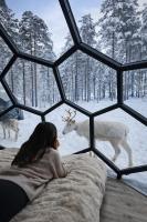 SKOG Aurora Glass Igloos - Ferienwohnung Kalix