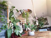 green maisonette with sauna and balcony, fully equipped - Bed and Breakfast Freising