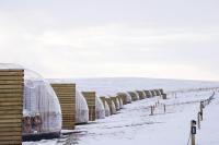 Aurora Igloo North - B&B Hvammstangi