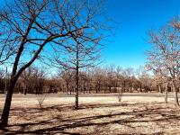 Pet Friendly Bunkhouse - B&B Whitesboro
