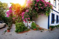 Appartamento con Vista Giardino