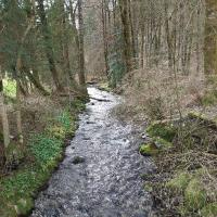 les Fontaines - Chambres d’hôtes Thônes