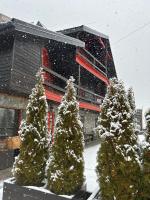 Pensiunea Alpin SPA - Ferienwohnung Rânca