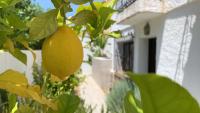 Casa Tomillo - Chambres d'hôtes Calpe