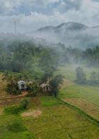 Forest & Fields Sinharaja - Where the Forest Breathes, and You Belong - B&B Deniyaya