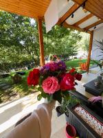 Pensiunea Andalex - B&B Zărnești