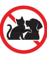 Loc126 - B&B Montreuil-Bellay