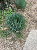 Sonnys place - Ferienwohnung Washington