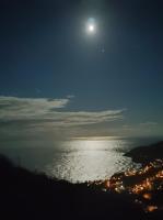 Opera Bungalov 2 - B&B Ordu