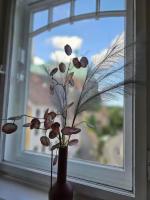 83 qm Altstadtperle mit herrlichem Neißeblick - B&B Görlitz