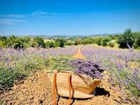 Agriturismo CasaViVa - B&B Pozzo