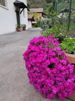 Casa Nonna Adelaide - Bed and Breakfast Roncone
