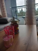 Apartman Pavlović Divčibare - Ferienwohnung Divčibare