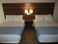 Deluxe Kamer met 2 Queensize Bedden