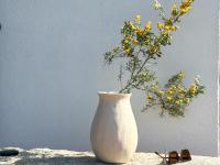 Appartamento la Lucciola - HelloElba - B&B Mortigliano