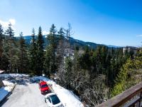 Luxe Apartments Pamporovo View I - Free transport to the Studenets ski slope - Chambres d'hôtes Pamporovo