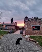 Podere Orto Wine Country House - Chambres d’hôtes Trevinano