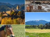 Masía Cal Kenyon - B&B Bor