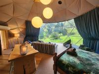 Dome Karearea