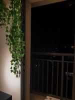 Raízes Tucuruvi Studios - B&B San Paolo