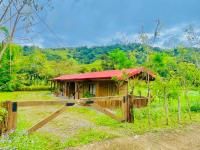 Cabañas Bambú Pérez Zeledón - B&B San Isidro de El General